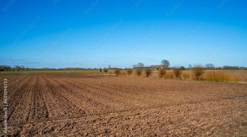 Rural landscape near Bronckhorst, Netherlands
