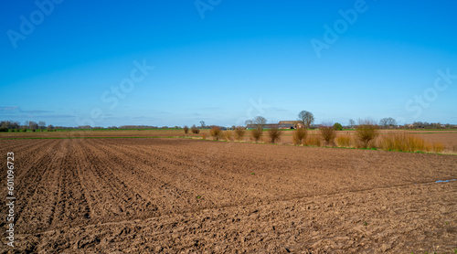 Rural landscape near Bronckhorst, Netherlands 