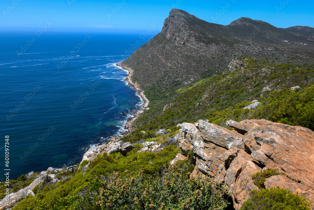 View at the coast of Cape Point in South Africa