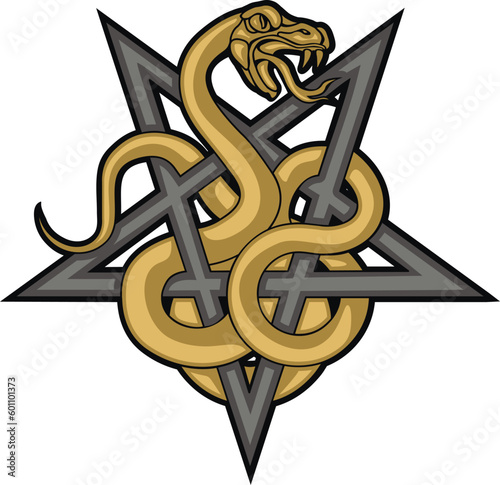 occultic sign with pentogram and snake, grunge vintage design t shirts