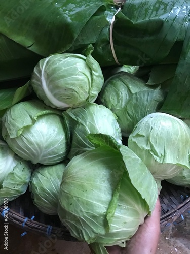 Cabbage 🥰