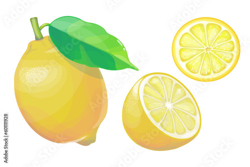 Lemon set. Whole, half, cut slice lemon. Lemons on a white background. 