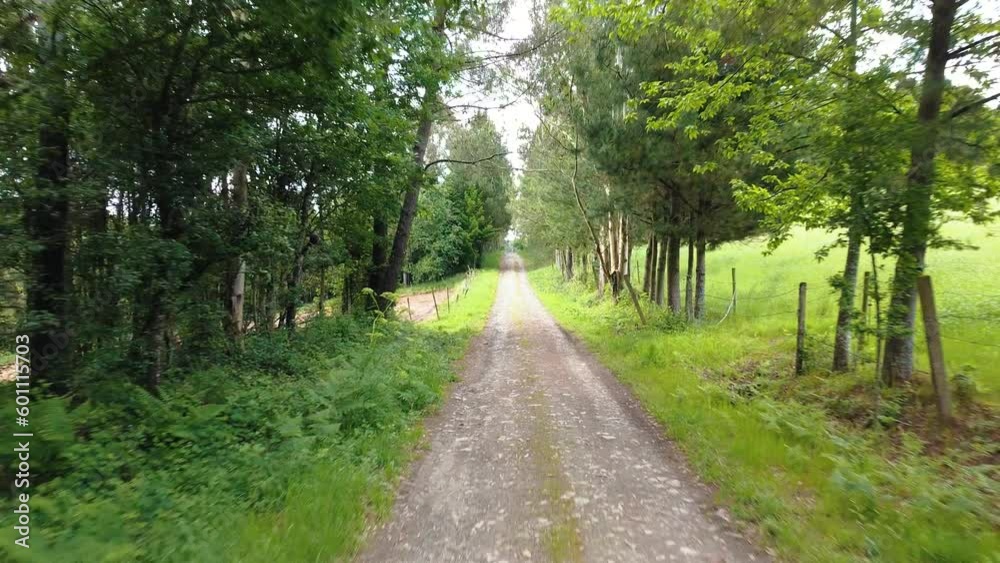 Drone shot countryside gravel road in forest. Galicia Spain. Dirt road. Drone shot countryside gravel road in forest. Galicia Spain. Dirt road.