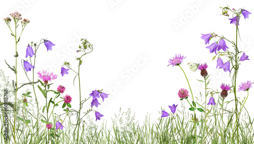 Meadow with wild flowers, transparent background