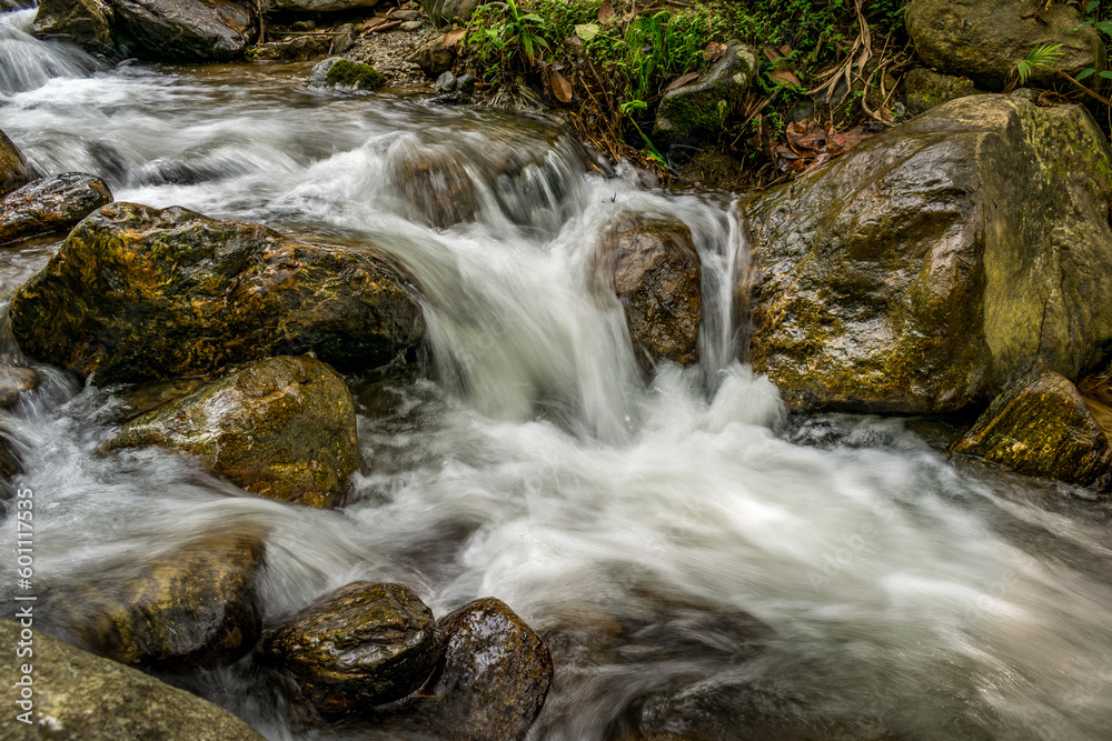 Naklejka premium 12.rio