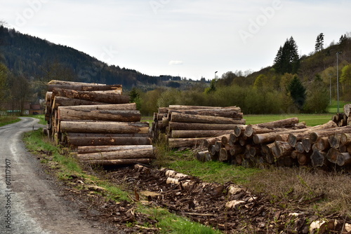 Pile of logs in a rural place