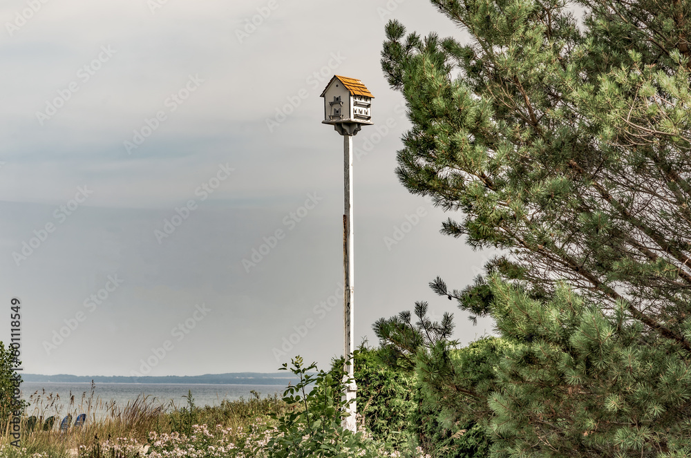 White Purple Martin birdhouse sits high up on a white pole next to a white pine tree overlooking a beach and lake in the background and a cloudy blue sky