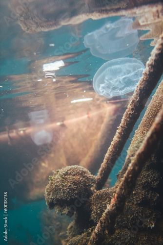Rusty pieces of iron are covered with small algae and jellyfish swim nearby. Bottom of the boat in bokeh. Underwater world. Fishing harbor with azure sea. Bottom of the sea bay.Aurelia s jellyfish.