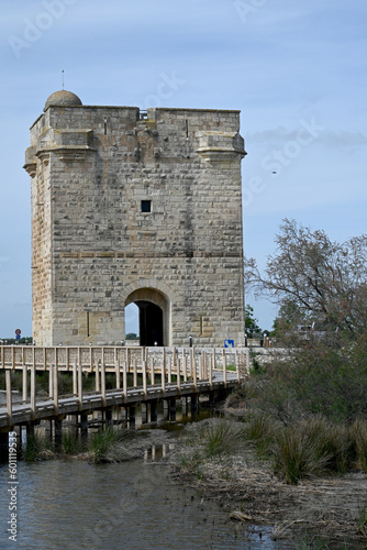 wooden stakes planted in the water serving as a barrier photo