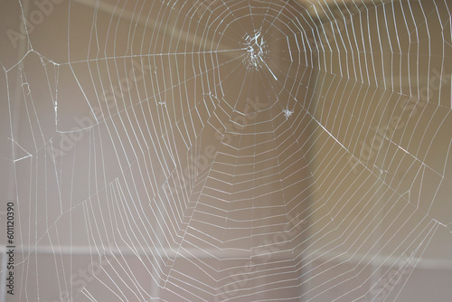 A close-up of a spider's web without the spider.