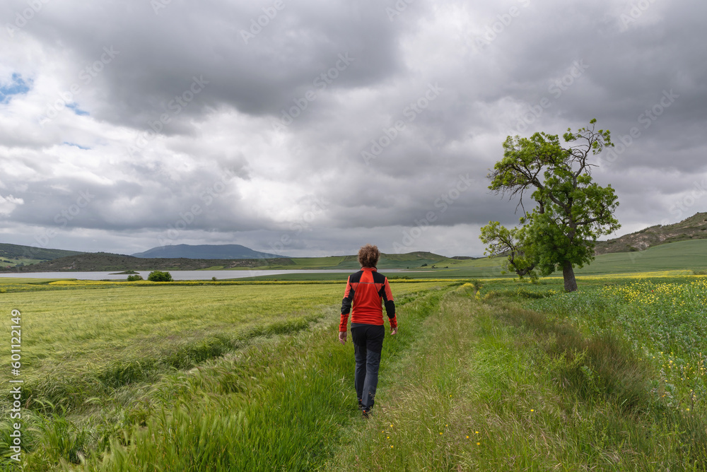 Man walking between farm fields on cloudy day