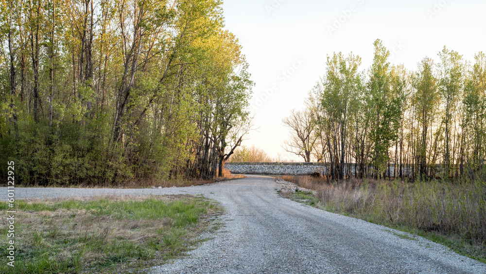 Fototapeta premium sunrise over riparian forest and levee in the valley of the Missouri river at Dalton Bottoms river access