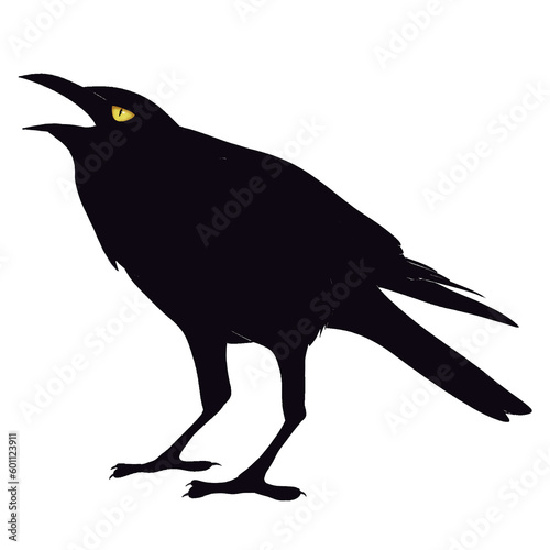 crow