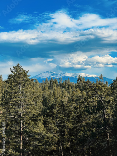 View of Pike's Peak Mountain from the Forest