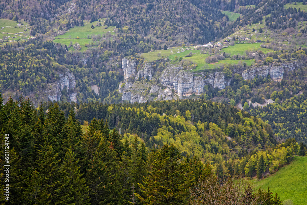 Landscape of forests and cliffs in Vercors