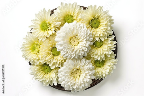 Chrysanthemum white flower closed up on white background (Ai generated)