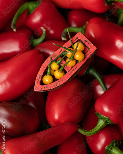Aji Charapita yellow and Jalapeno red peppers. Small yellow peppers in boat. Hot spices. Sea of peppers. Top view. Background from on background of red peppers. Close-up. 