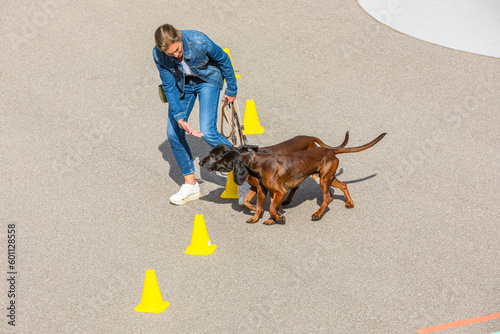 tracker dogs get guided