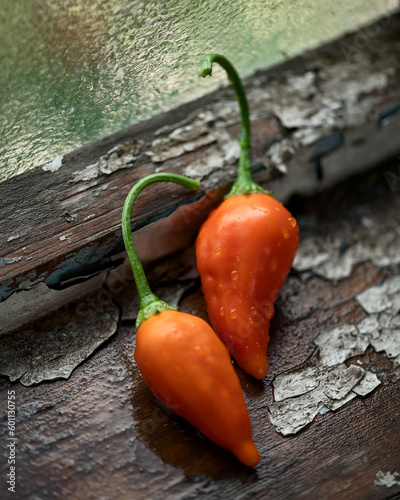 Two Orange Fatalii peppers in water drops on wooden surface. Varieties of South African pepper. Harvest of peppers. Aged Wooden background. Close-up. View from above. Copy space. Soft focus.  photo