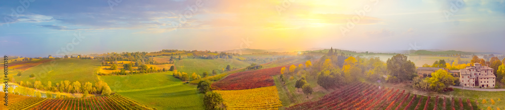 Φωτογραφία Beautiful aerial panoramic view autumn vineyard shot at sunset