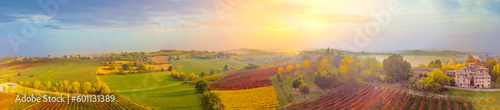 Fotografie Beautiful aerial panoramic view autumn vineyard shot at sunset