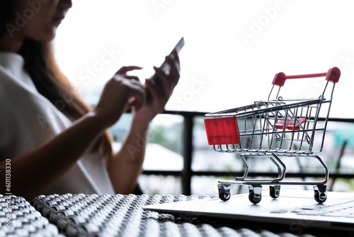 Woman and Small shopping cart with Laptop for Internet online shopping concept.