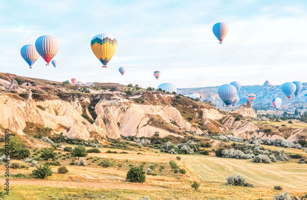 Obraz premium Flying in sky many bright colored beautiful balloons into air in Cappadocia in mountains early at sunrise, dawn. Filling balloon with hot air from burner, big basket. Tourists excursion, cloud flight