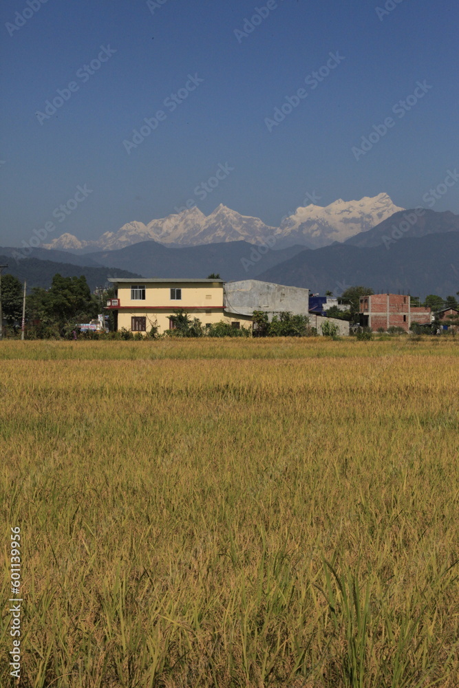 ネパールの田舎の風景 ネパールの田舎の風景