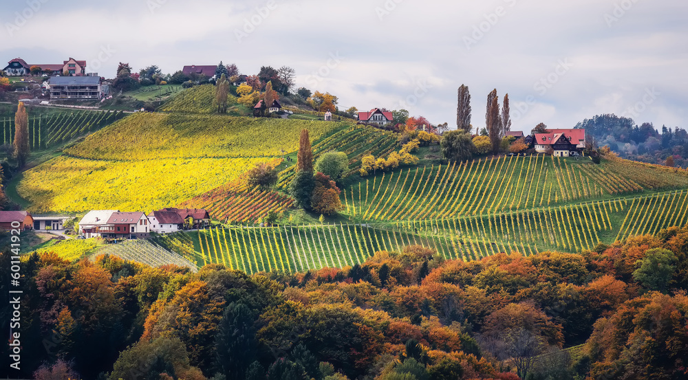 Wonderful fairy tale nature scenery of Austria at sunset. View on vineyard and old winery house during morning fog under sunlight. Vineyards and countryside landscape in Gamlitz. Rich harvest concept