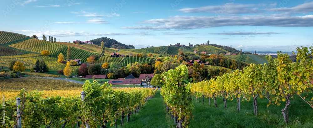 Stunning Autumn nature of Austria .Panorama view of vineyard and hills in autumn. South Styria, Gamlitz, Austria, Eckberg, Europe. Popular travel destination. Concept of an ideal resting place.