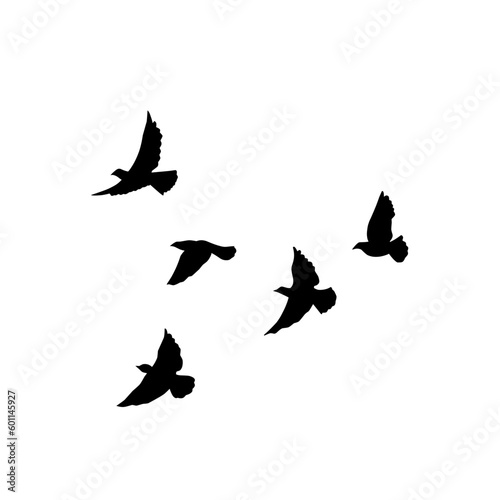 vector silhouette of flying birds  © P4ramours