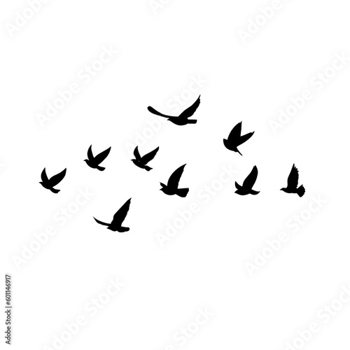 vector silhouette of flying birds  © P4ramours