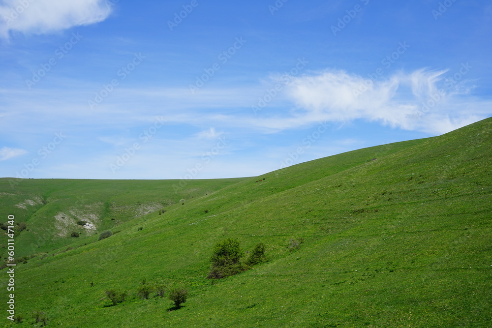 Subasio mountain green fields in a spring day, Assisi, Perugia, Umbria, Italy Subasio mountain green fields in a spring day, Assisi, Perugia, Umbria, Italy