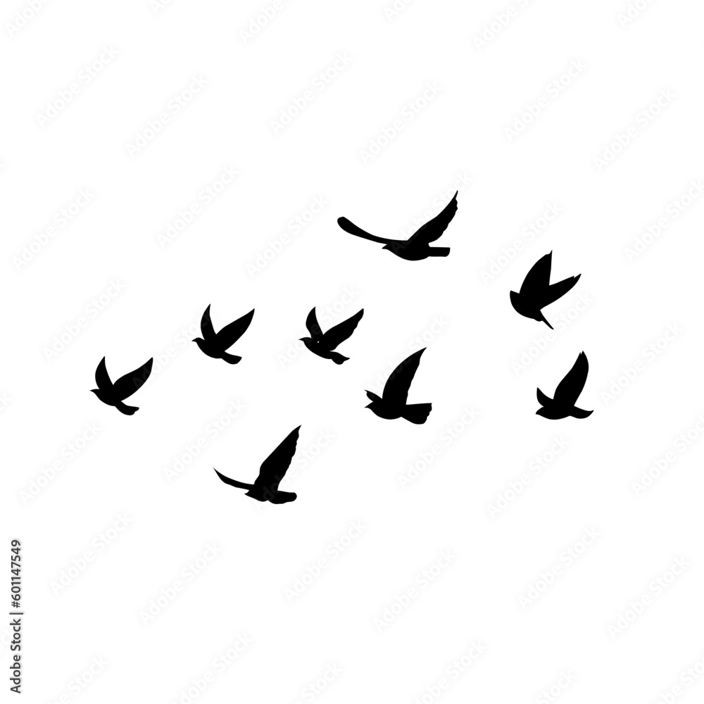 vector silhouette of flying birds 