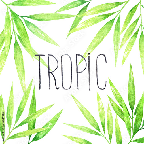 Hand drawn watercolor bamboo cane green lush foliage tropical leaves around background with handwritten word  tropic .Isolated on white  web design element for cards  invitations.