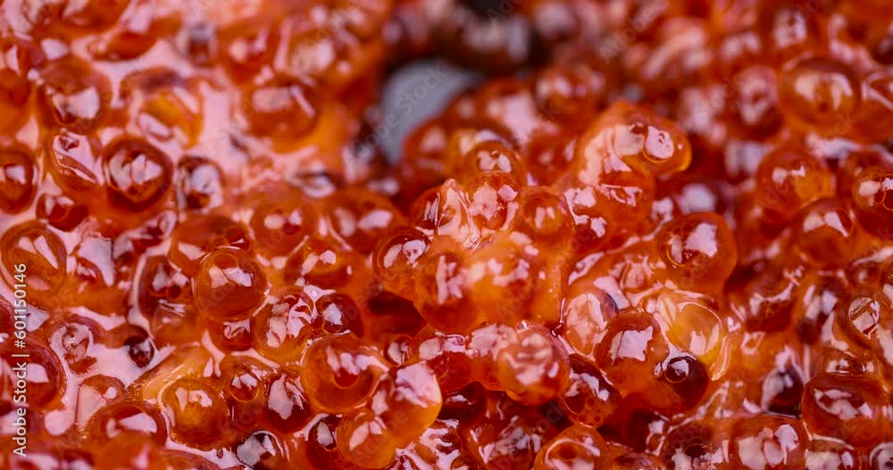 Natural red salmon caviar in large quantities, a lot of real fresh raw red sea salmon caviar for cooking Natural red salmon caviar in large quantities, a lot of real fresh raw red sea salmon caviar for cooking
