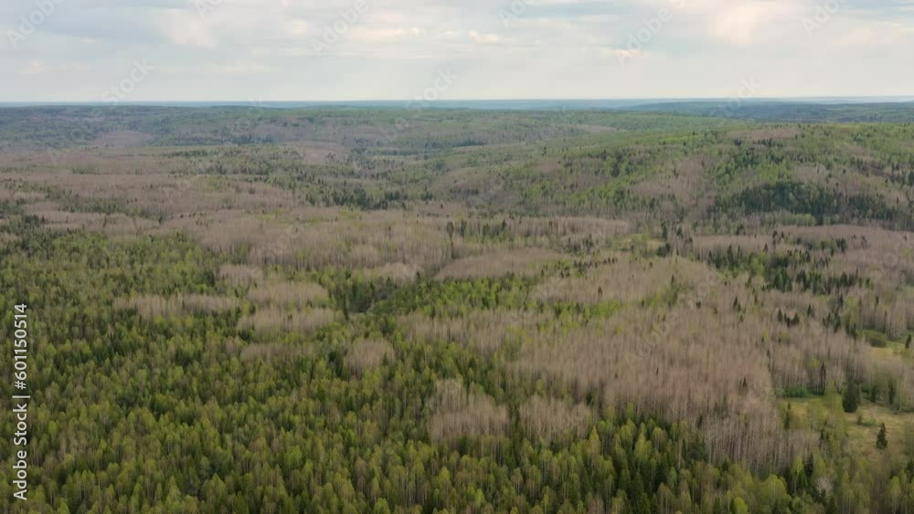 Southern Urals in spring, a view of the mountain taiga from the air. Southern Urals in spring, a view of the mountain taiga from the air.