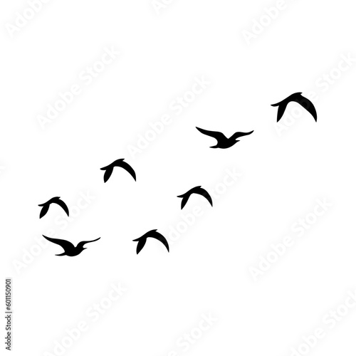 Bird flock silhouette vector illustration. © P4ramours