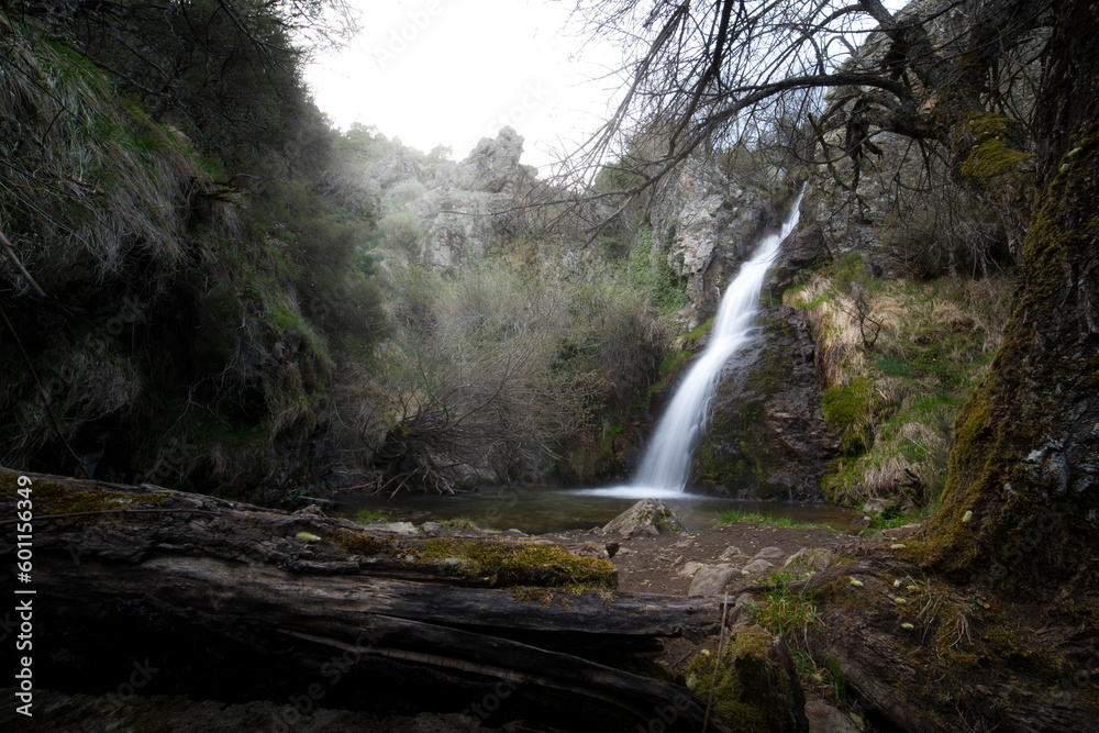 Fototapeta premium Cascada Idilica