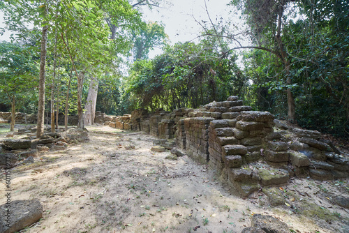 The Overlooked Krol Romeas Elephant Sanctuary in Angkor  Cambodia