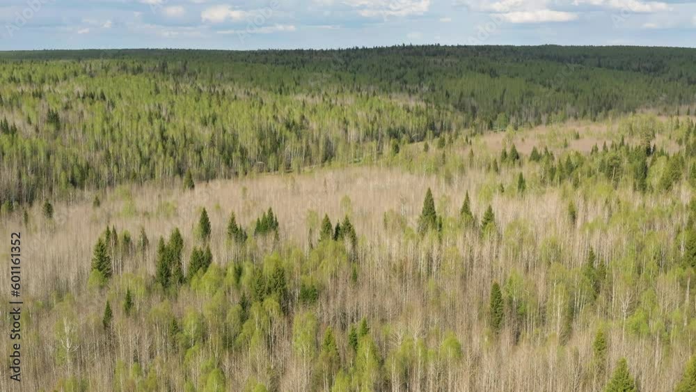 Southern Urals in spring, a view of the mountain taiga from the air. Southern Urals in spring, a view of the mountain taiga from the air.