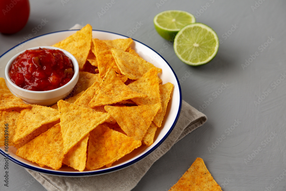 Homemade Salsa Dip and BBQ Chips Ready to Eat Homemade Salsa Dip and BBQ Chips Ready to Eat