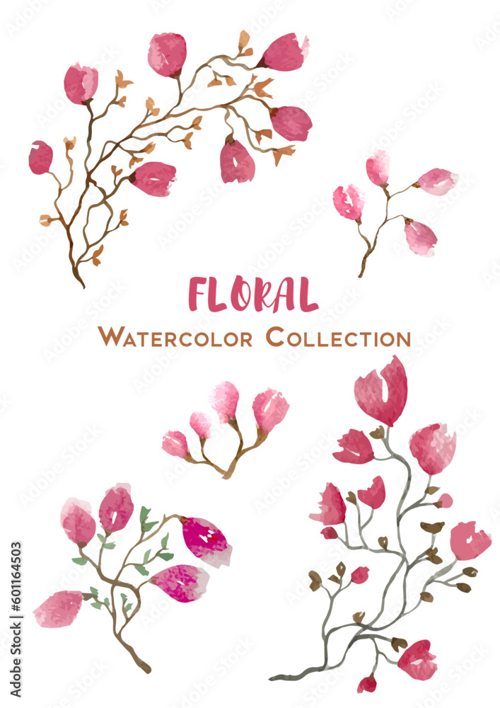 Beautiful handdrawn floral watercolor collection