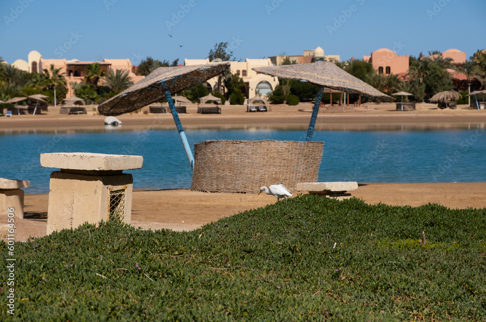 Fototapeta premium Beautiful beach area in El Gouna, Red Sea, Egypt, Africa