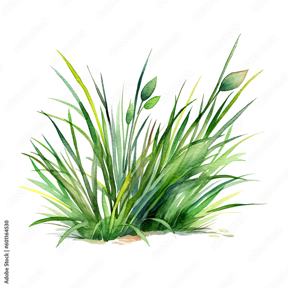 Watercolor green grass. Illustration AI Generative. Watercolor green grass. Illustration AI Generative.