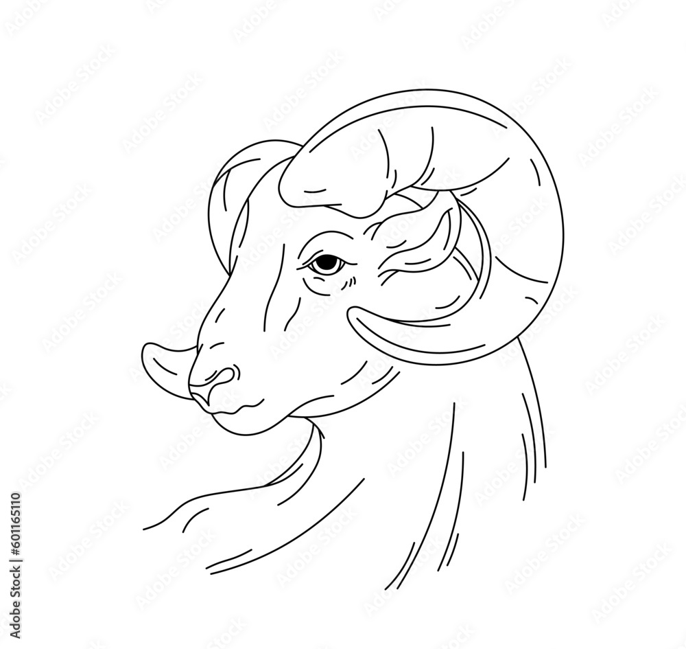 Vetor de Vector isolated one single ram sheep bighorn aries with long ...