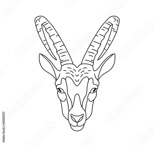 Vector isolated one single goat with long horns head face portrait front view colorless black and white contour line easy drawing