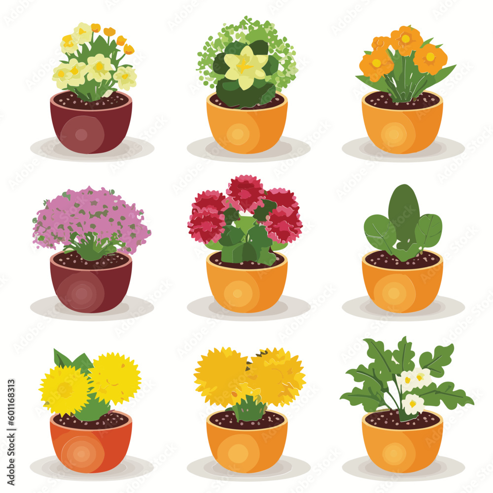 set of flowers in pots