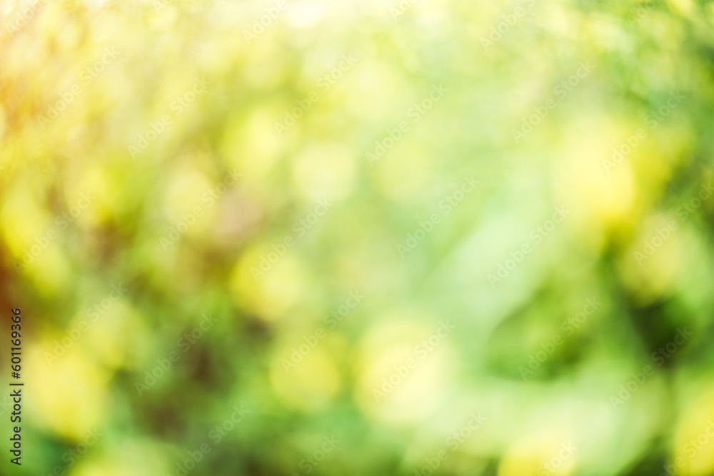 Obraz premium Blur bokeh macro background