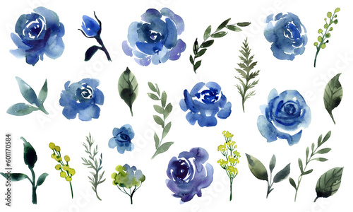 Blue roses and green plants. Watercolor hand drawn illustration. Clipart collection